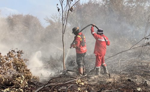 Ilustrasi Riau terdeteksi 156 hotspot atau titik panas (foto/int)