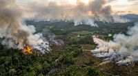 Awas Kabut Asap! Sumatera Dikepung 1.553 Titik Panas Sore ini, Bagaimana Riau?