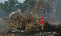 Ilustrasi hotspot di Riau meningkat (foto/int)